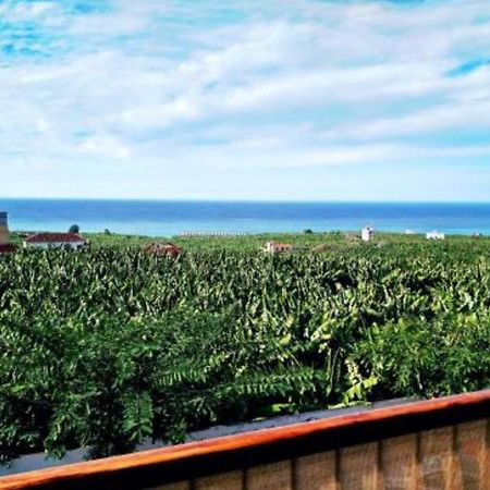 Apartamento El Tejar Тасакорте Екстер'єр фото